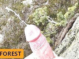 Cum in Forest