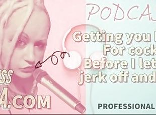 Kinky Podcast 13 Getting you Horny for cocks before I let you Jerk off and Cum