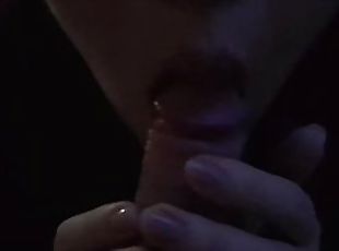Sweet homemade blowjob by the night
