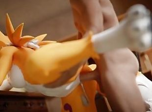 Renamon Being Mastered Leg up Standing Doggystyle Animation