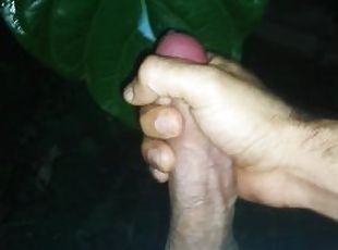 Fertilizo arbol con semen caliente. Paja en casa de campo