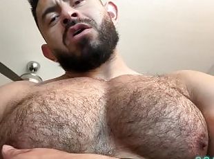 papá, peluda, gay, a-solas, papi, musculada